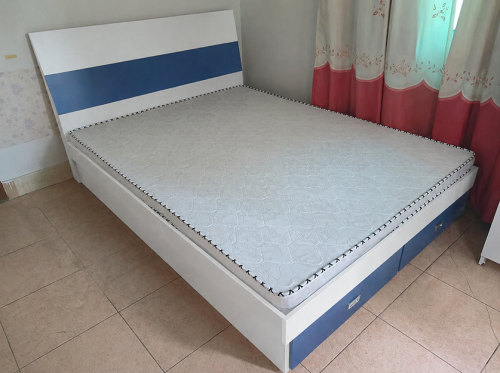 Giường Ngủ 2 Ngăn Kéo Màu Trắng Xanh Hiện Đại ZM-11029 photo review