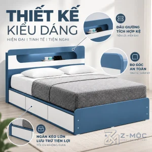 Thiết kế xanh navy – trắng hiện đại